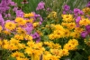 Blumenbeet - (c) R Herling.jpg